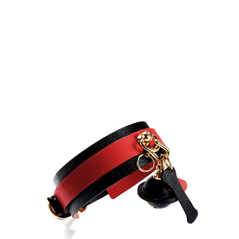 Devil Wings Collar Handcuffs Leather Set