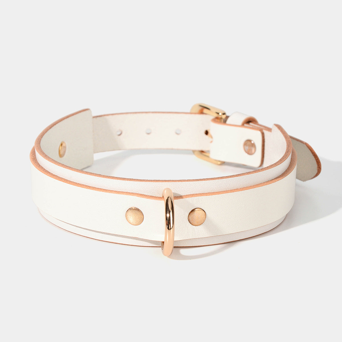 Basic Classic Collar