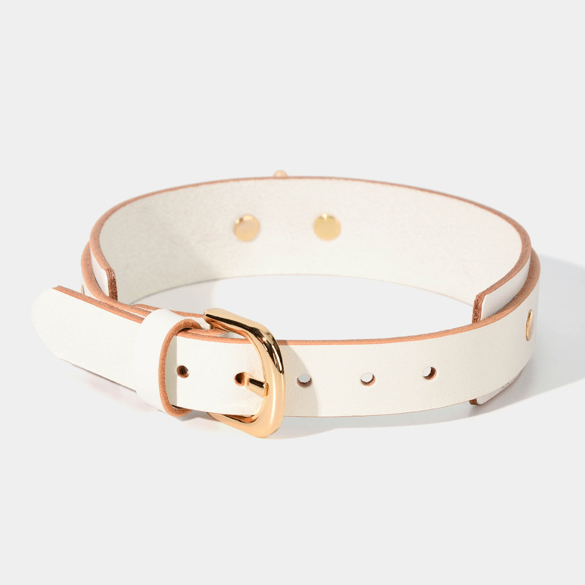 Basic Classic Collar