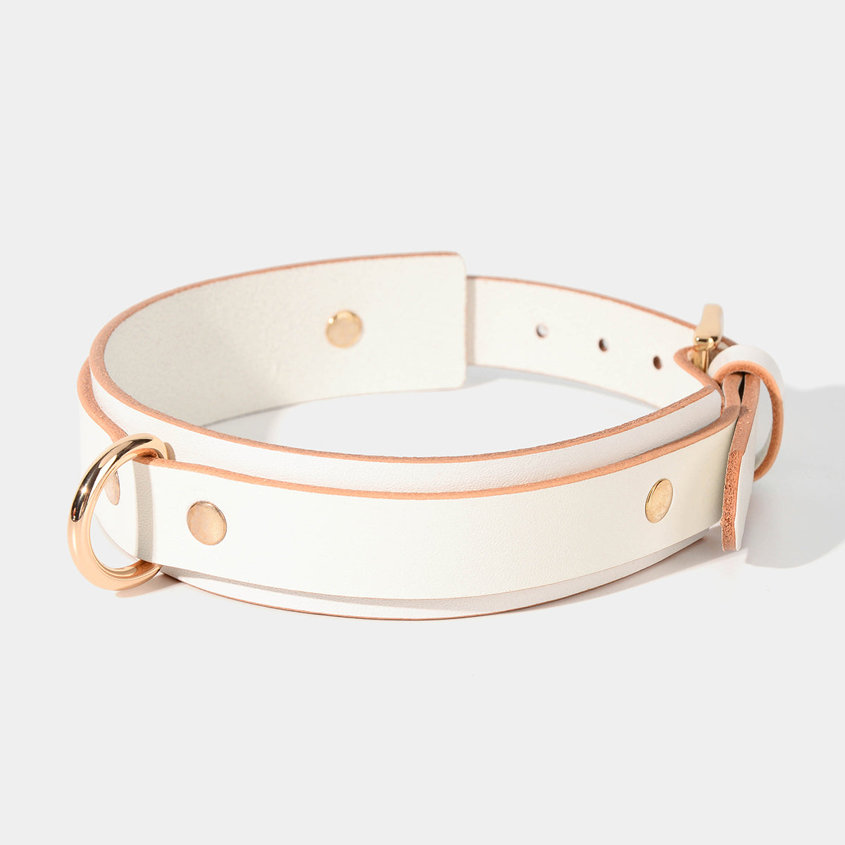 Basic Classic Collar