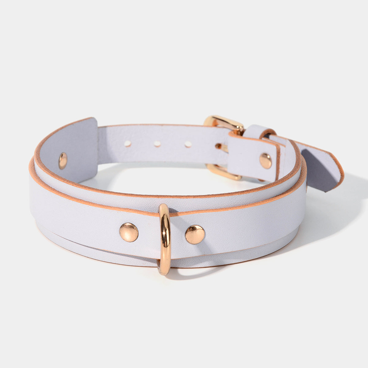 Basic Classic Collar