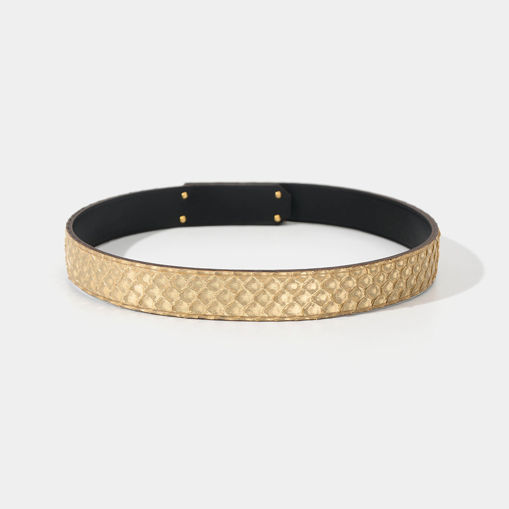 Classic Gold Python Collar/Choker