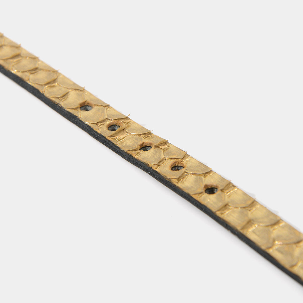 Gold Python Choker/Collar/Wristband